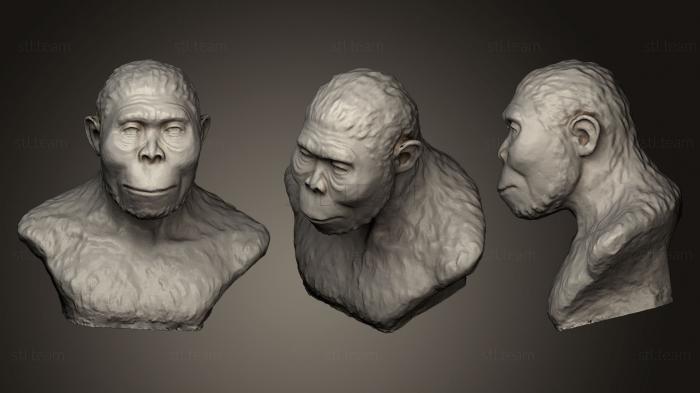 Бюсты и головы античные и исторические Homo rudolfensis